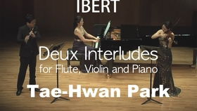 saint saens op 111,Saint-Sa毛ns Op. 111: A Detailed Multidimensional Introduction