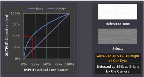 rietmat op rol gamma,Rietmat Op Rol Gamma: A Comprehensive Overview