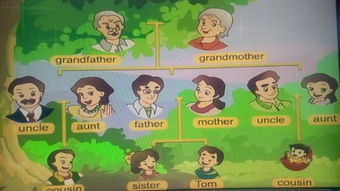 op chautala family tree,Op Chautala Family Tree: A Detailed Multidimensional Introduction