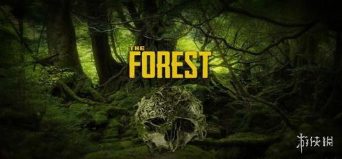 the forest online co op,The Forest Online Co-op: A Detailed Multi-Dimensional Introduction