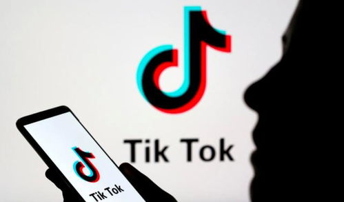 hoe duur is adverteren op tiktok,Understanding TikTok Advertising Costs