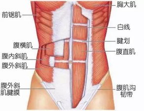 what is post op after surgery,What is Post-Op After Surgery?