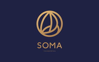 is soma co op,Is Soma Co Op: A Comprehensive Overview